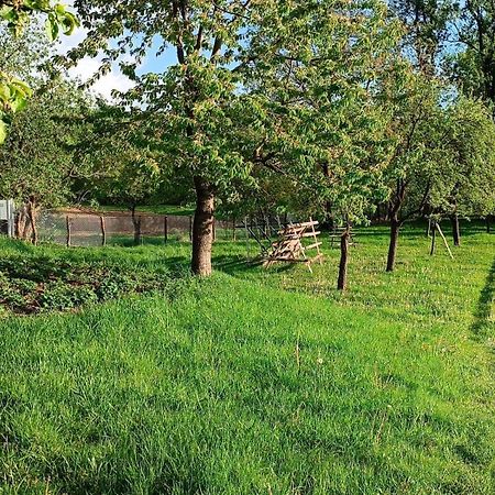 Casa De Vacanta Alina Prundul Birgaului Esterno foto