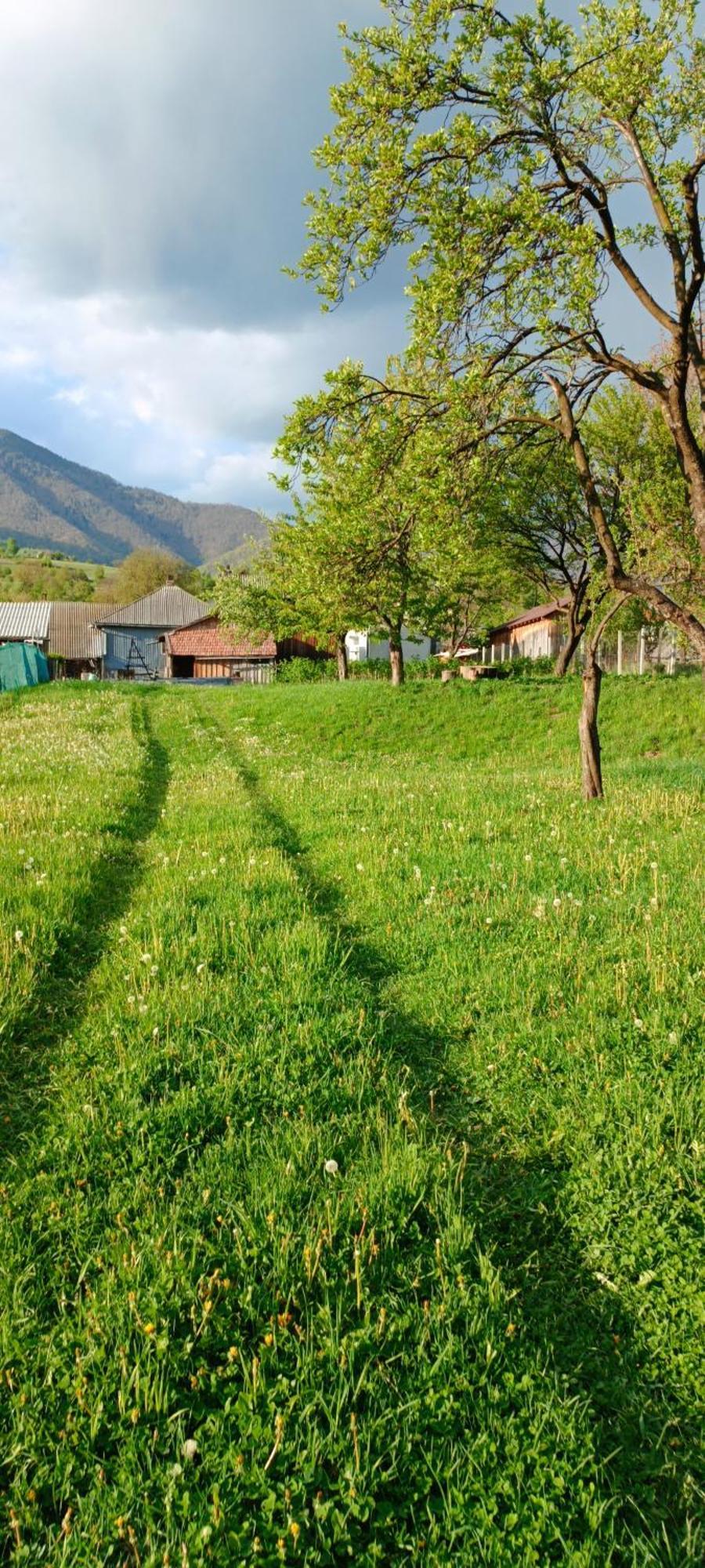 Casa De Vacanta Alina Prundul Birgaului Esterno foto