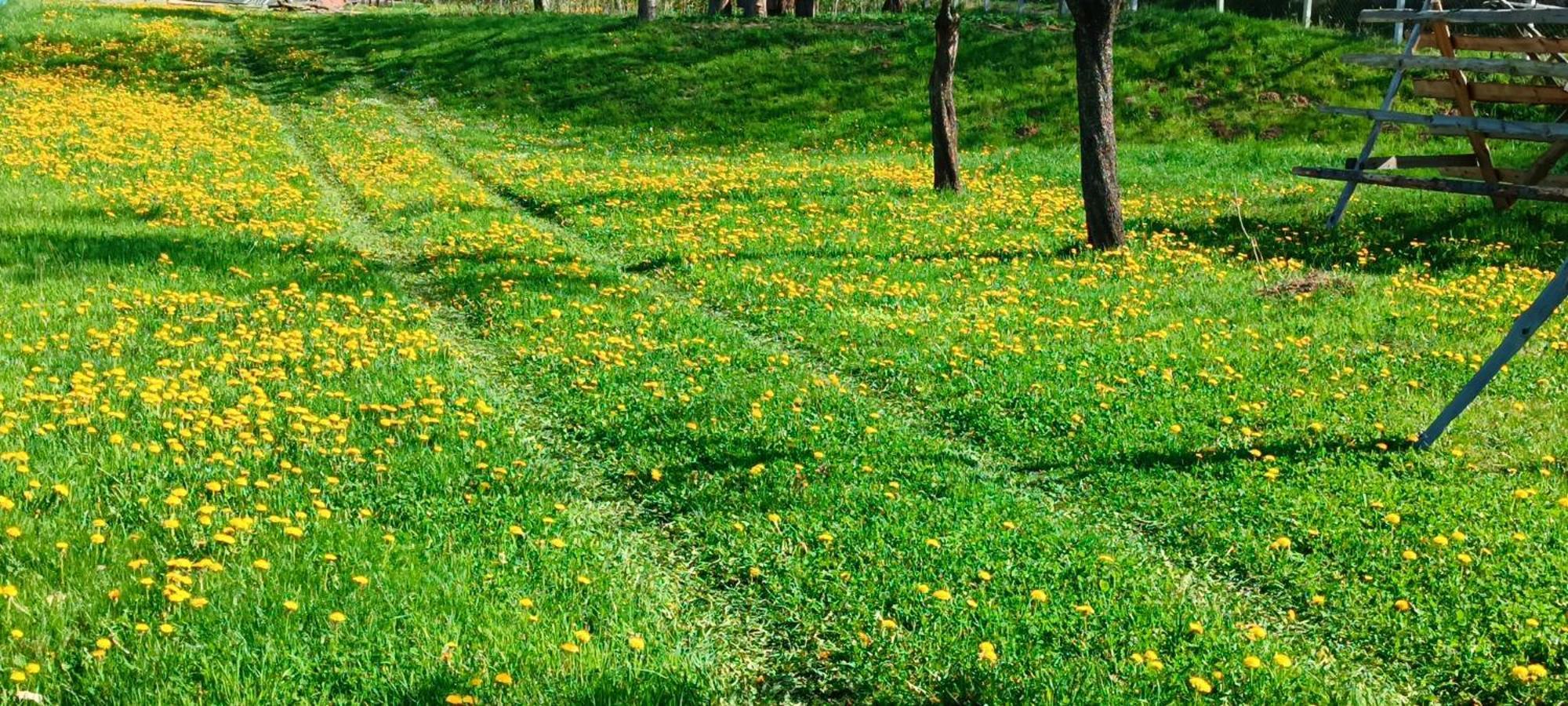 Casa De Vacanta Alina Prundul Birgaului Esterno foto