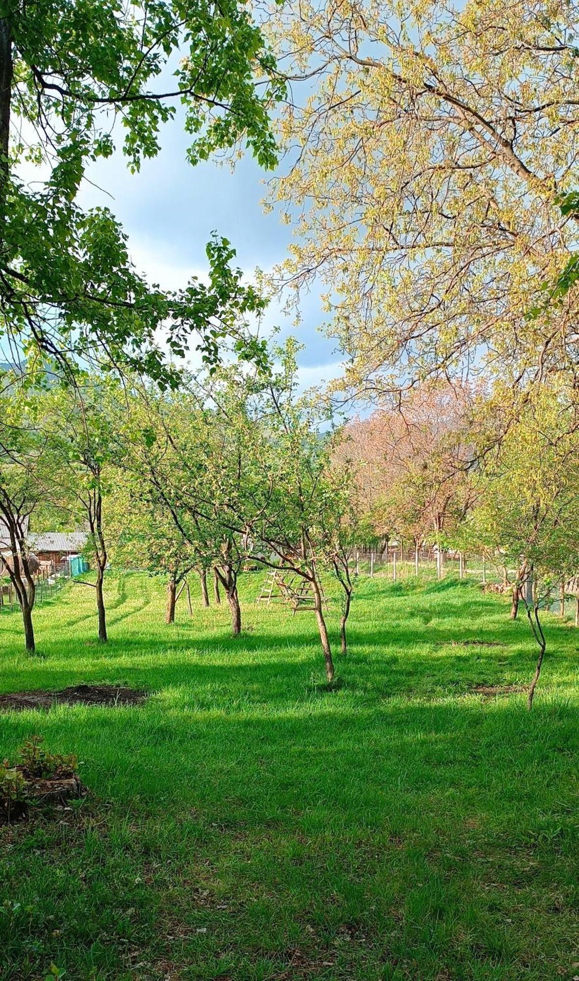 Casa De Vacanta Alina Prundul Birgaului Esterno foto