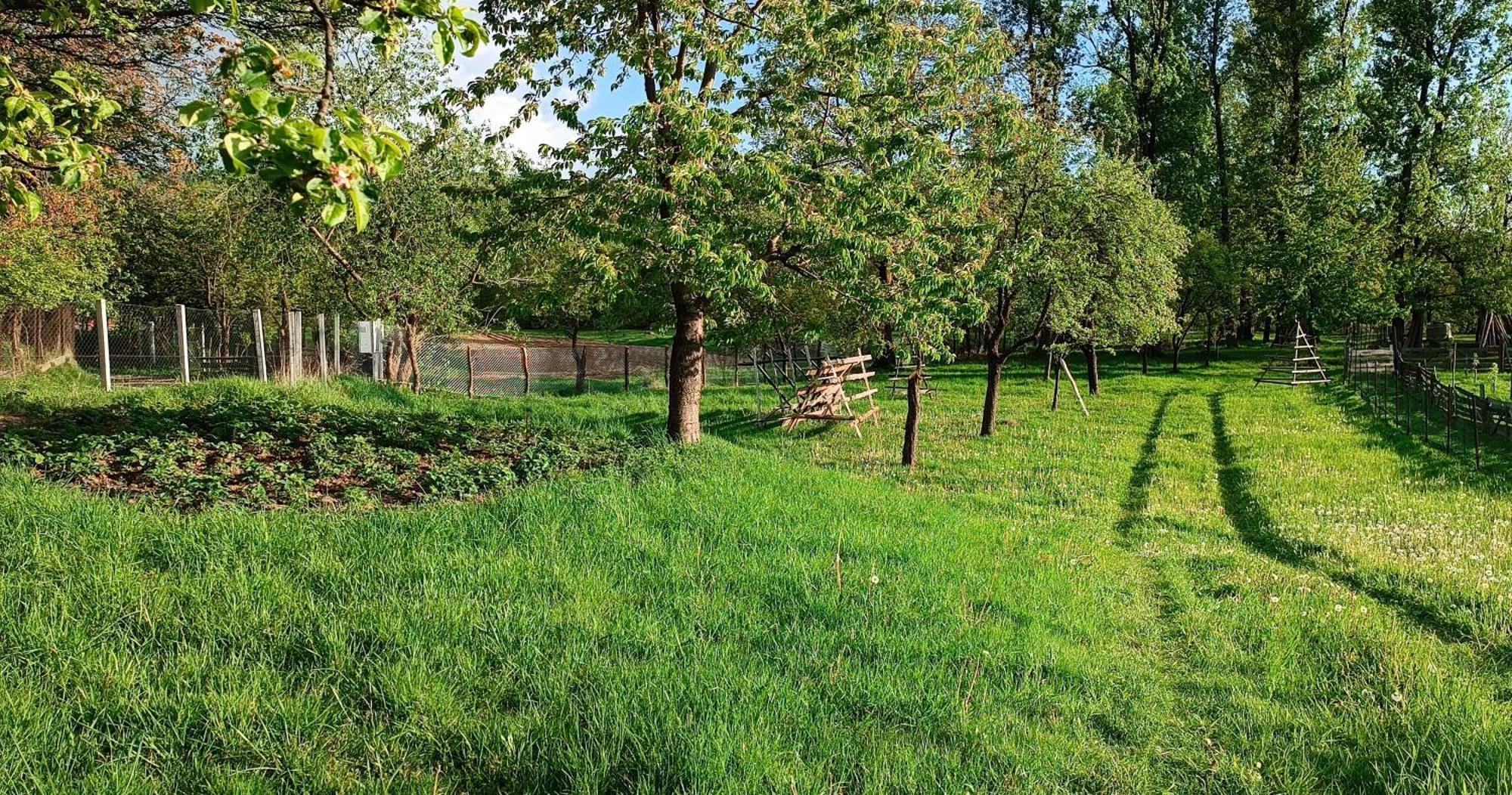 Casa De Vacanta Alina Prundul Birgaului Esterno foto