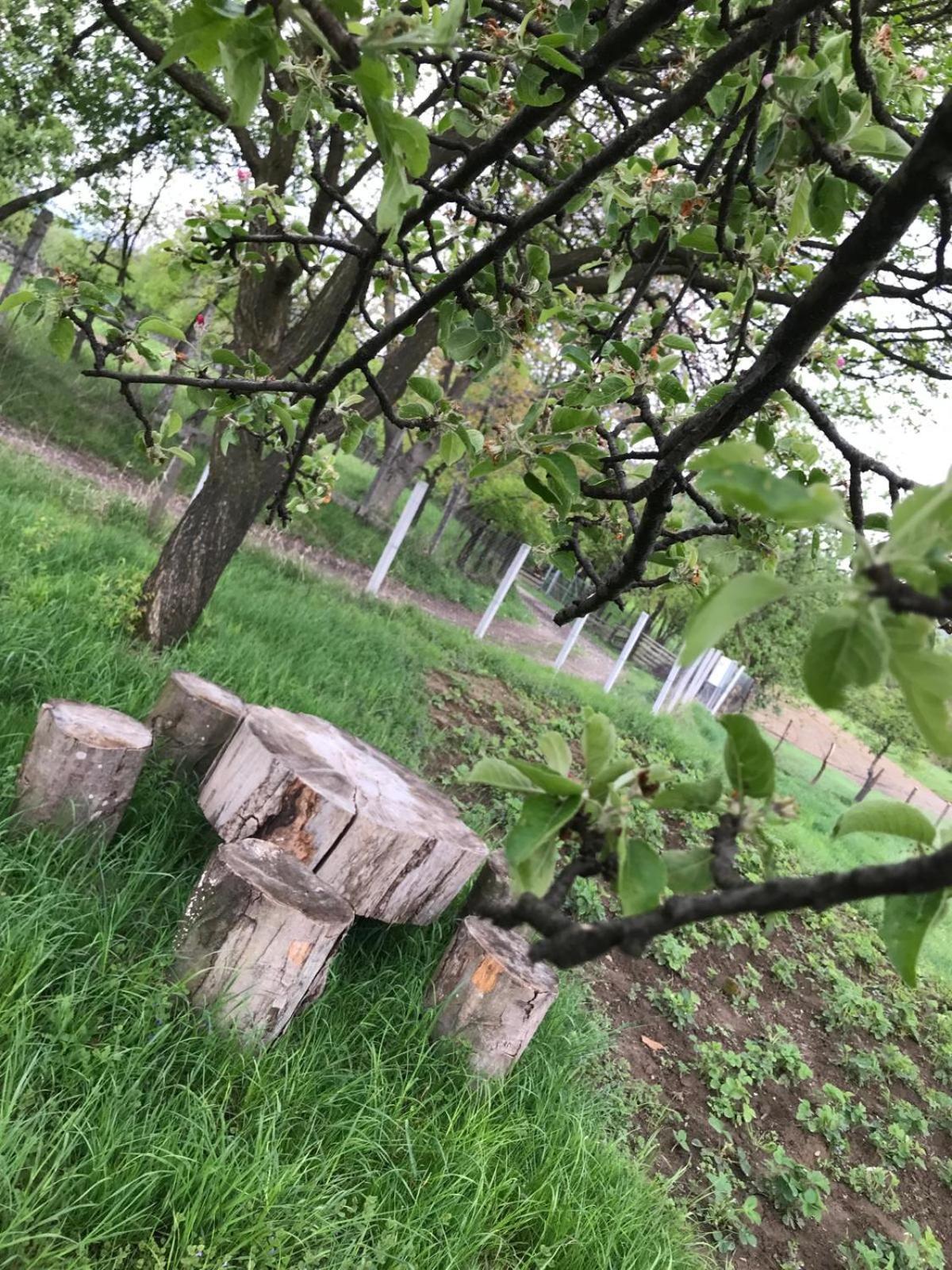 Casa De Vacanta Alina Prundul Birgaului Esterno foto