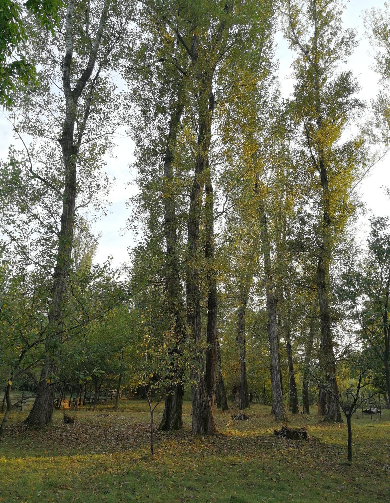 Casa De Vacanta Alina Prundul Birgaului Esterno foto